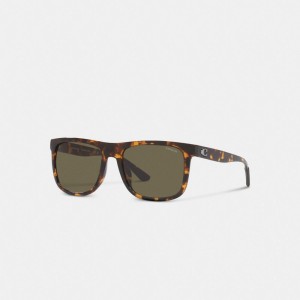 Coach Beveled Signature Flat Top Square Sunglasses Erkek Güneş Gözlüğü Renkli | 25184SBHC