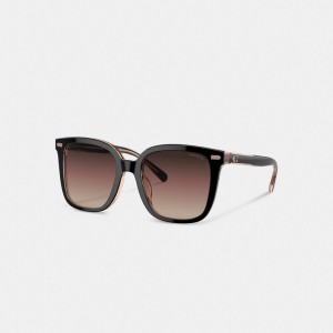 Coach Beveled Signature Oversized Square Sunglasses Kadın Gözlük Siyah Pembe | 76129JFVO
