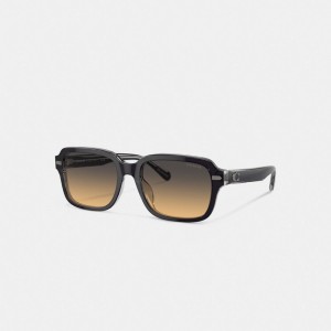 Coach Beveled Signature Square Sunglasses Erkek Güneş Gözlüğü Koyu Gri Açık Gri | 18956BAKW