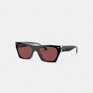 Coach Beveled Signature Square Sunglasses Kadın Gözlük Siyah | 68231RITJ