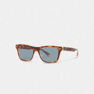 Coach Beveled Signature Square Sunglasses Erkek Güneş Gözlüğü Mavi | 70423EIBO