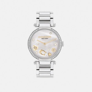 Coach Cary Watch, 34 Mm Kadın Saat Gri | 60132UQAF