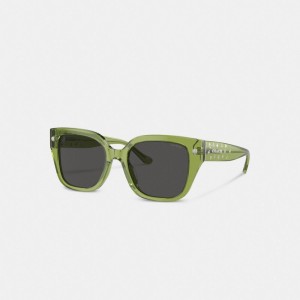 Coach Charms Oversized Square Sunglasses Kadın Gözlük Yeşil | 53149YCPL