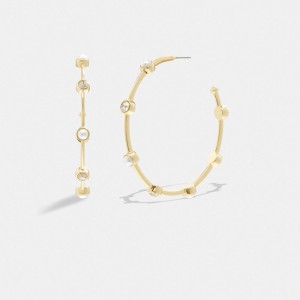 Coach Classic Pearl Large Hoop Earrings Kadın Takı Altın | 59861DOLE