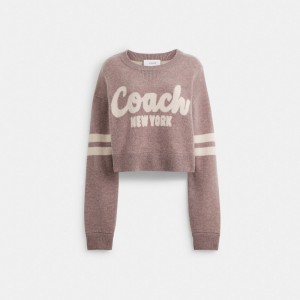 Coach Cropped Sweater Kadın Üstler Pembe | 30254JEIM