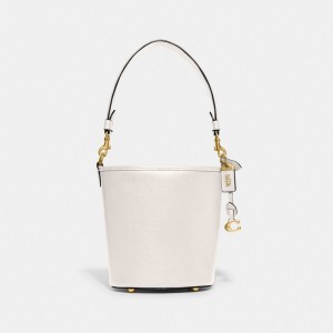 Coach Dakota Bucket Bag 16 Kadın Omuz Çantası Renkli | 54023IHQE
