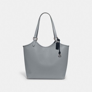 Coach Day Tote Bag Kadın Tote Çanta Gümüş Gri Mavi | 54720MDYW