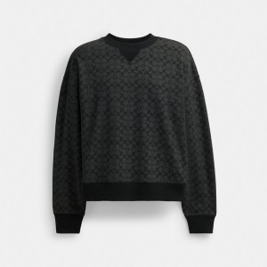 Coach Essential Signature Crewneck Erkek Üstler Gri | 37069ARTL