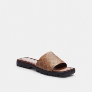 Coach Florence Sandal In Signature Canvas Kadın Sandalet Haki Koyu | 95712QXWH