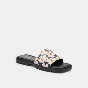 Coach Florence Sandal With Floral Print Kadın Sandalet Renkli | 89517DNEG