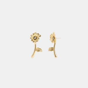 Coach Garden Flower Stem Stud Earrings Kadın Takı Altın | 17934FYLD