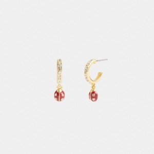 Coach Garden Ladybug Drop Earrings Kadın Takı Altın Renkli | 18725ULZD
