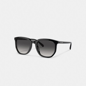 Coach Geometric Square Sunglasses Erkek Güneş Gözlüğü Siyah | 76139IHRT
