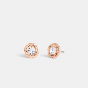 Coach Halo Tea Rose Stud Earrings Kadın Takı Pembe Altın | 94628WGNV