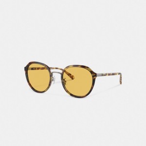 Coach Hangtag Geometric Round Sunglasses Kadın Gözlük Turuncu | 10683INTP