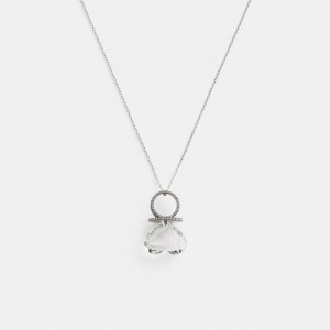 Coach Heart Gemstone Ring Pendant Necklace Kadın Takı Gümüş | 89534ZBAI