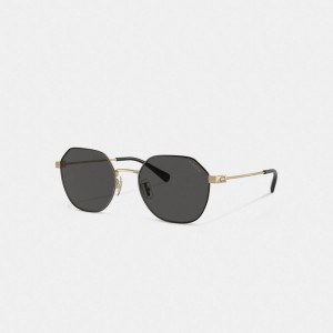 Coach Hinged Geometric Round Sunglasses Erkek Güneş Gözlüğü Altın Siyah | 48063BFGK