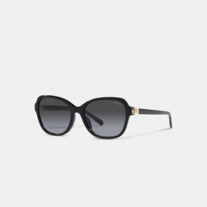 Coach Hinged Horse And Carriage Square Sunglasses Kadın Gözlük Siyah | 41568UWSX