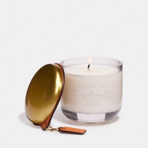 Coach Holiday Candle Kadın Seyahat Çantası Renkli | 12785GTCA