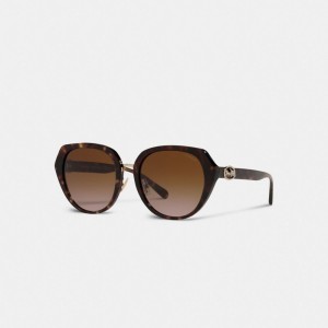 Coach Horse And Carriage Oversized Round Sunglasses Kadın Gözlük Renkli | 52908MTXY