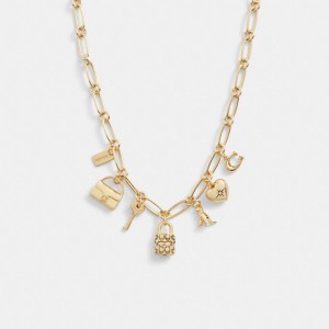 Coach Iconic Charm Chain Necklace Kadın Takı Altın | 78591PNXD