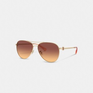 Coach Metal Aviator Sunglasses Kadın Gözlük Koyu Kahverengi | 54971EXPW