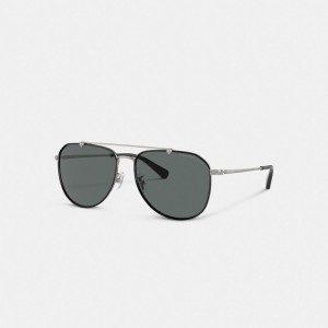 Coach Metal Windsor Pilot Sunglasses Erkek Güneş Gözlüğü Siyah Gri | 41257MJEH