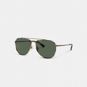 Coach Metal Windsor Pilot Sunglasses Erkek Güneş Gözlüğü Altın | 62394IYCB