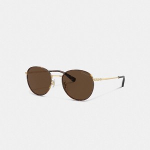 Coach Metal Windsor Round Sunglasses Erkek Güneş Gözlüğü Kahverengi Altın | 89761TDLA