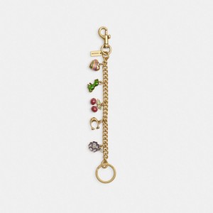 Coach Motif Chain Bag Charm Kadın Takı Renkli | 37526MGHF