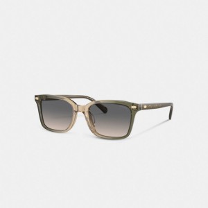 Coach Narrow Square Sunglasses Erkek Güneş Gözlüğü Yeşil Kahverengi | 63729WXOC