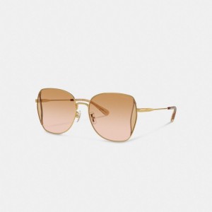 Coach Oversized Butterfly Sunglasses Kadın Gözlük Mercan Pembe Renkli | 98475PNQL