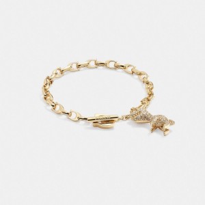 Coach Pave Rexy Signature Chain Bracelet Kadın Takı Altın | 15082YLOP