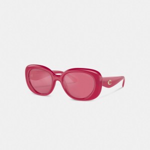 Coach Pillow Tabby Round Sunglasses Kadın Gözlük Renkli | 92710QGXY