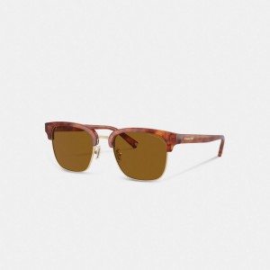 Coach Retro Sunglasses Erkek Güneş Gözlüğü Kahverengi | 58027EZJB