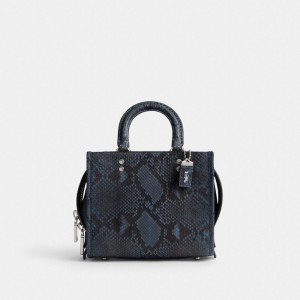 Coach Rogue 20 In Python Kadın Satchel Çanta Gümüş Koyu Mavi | 50943EITJ
