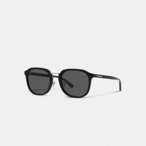Coach Rounded Geometric Sunglasses Erkek Güneş Gözlüğü Siyah | 23798NADR