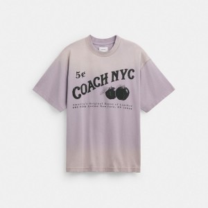 Coach Signature Apple T Shirt Erkek Üstler Mor | 49653OLFE