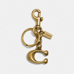 Coach Signature Bag Charm Kadın Takı Renkli | 35014LSPI