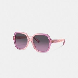 Coach Signature Ombre Oversized Square Sunglasses Kadın Gözlük Pembe Mor | 03519SYAK