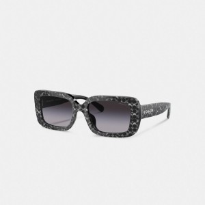 Coach Signature Oversized Rectangle Sunglasses Kadın Gözlük Gümüş | 52871WLZO