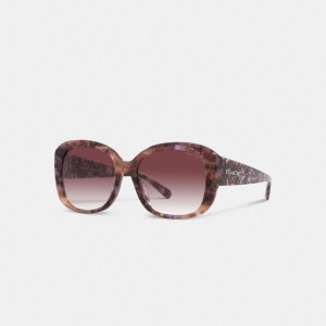 Coach Signature Oversized Square Sunglasses Kadın Gözlük Mor | 81609RLVD