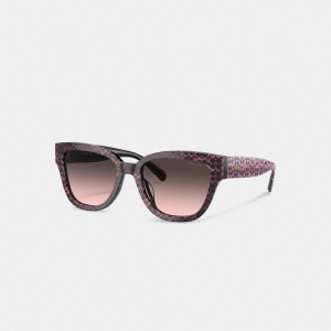 Coach Signature Round Sunglasses Kadın Gözlük Renkli | 57634JBWP