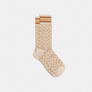 Coach Signature Socks Kadın Çorap Renkli | 92038BTYV