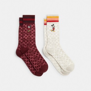 Coach Signature Socks Pack Kadın Çorap Bordo | 09841ZVGY