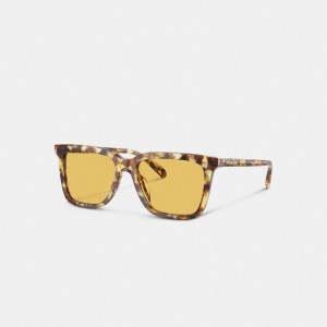 Coach Signature Square Sunglasses Erkek Güneş Gözlüğü Turuncu | 62170HYKJ