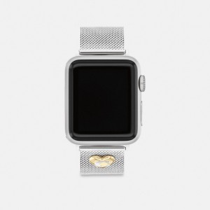 Coach Strap, 38 Mm, 40 Mm And 41 Mm Kadın Saat Gri | 92876WDGX