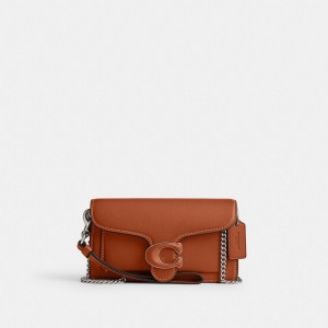 Coach Tabby Crossbody Wristlet Kadın Çapraz Askılı Çanta Gümüş | 94175WYOE
