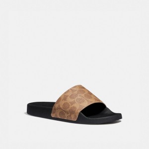 Coach Udele Sport Slide In Signature Canvas Kadın Sandalet Kahverengi | 46189ALTP