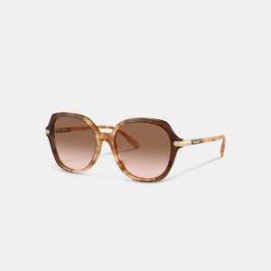 Coach Wrap Around Hangtag Oversized Geometric Round Sunglasses Kadın Gözlük Turuncu | 41073VPEF